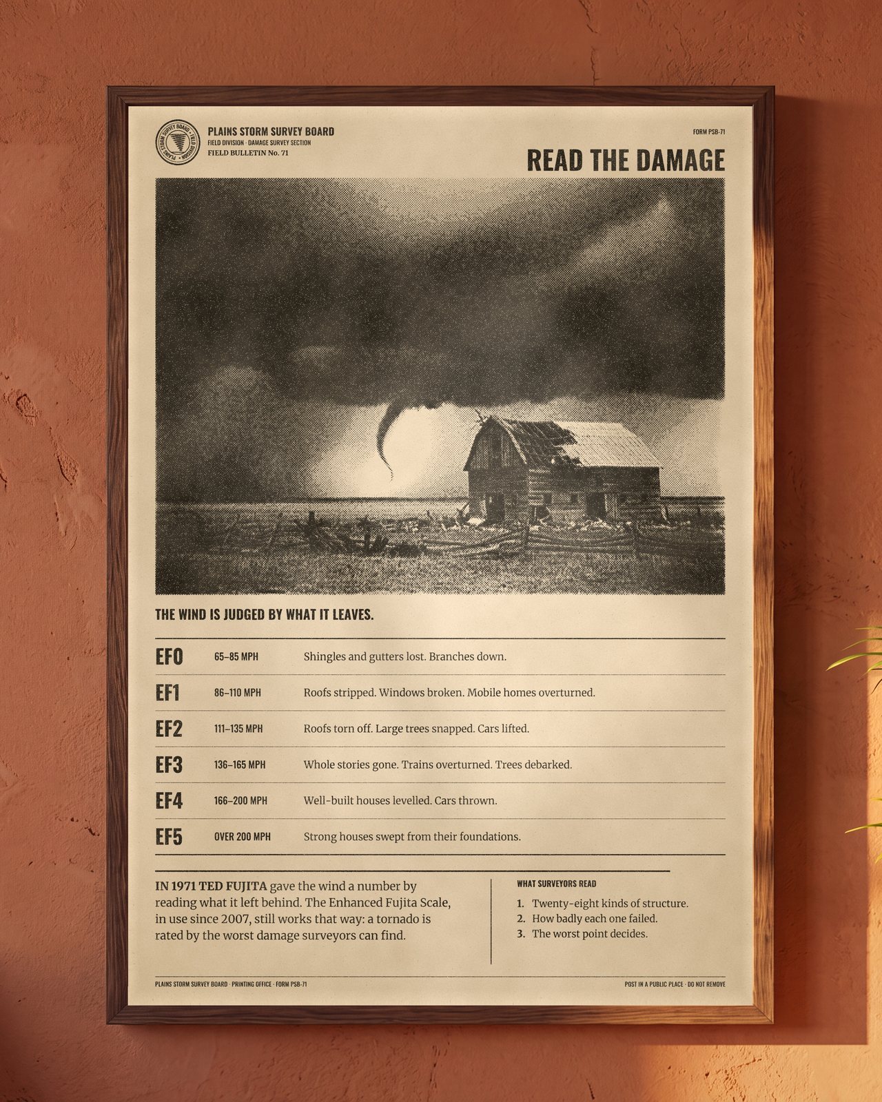 EF Scale Tornado Chart